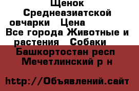 Щенок Среднеазиатской овчарки › Цена ­ 35 000 - Все города Животные и растения » Собаки   . Башкортостан респ.,Мечетлинский р-н